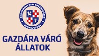 Gazdára váró állatok