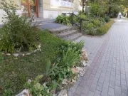 Kozár Tivadarné 1. hely - előkert/01