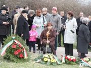 csatolt kép