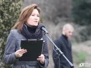 csatolt kép
