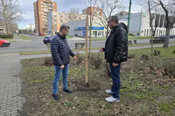 Mezei és Mészáros
