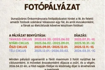 Pályázat