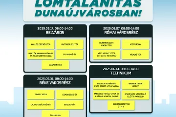 Lomtalanítás.