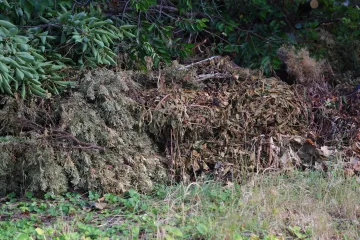 Hegyekben állt a tilosban lerakott zöldhulladék – az önkormányzat szállíttatta el