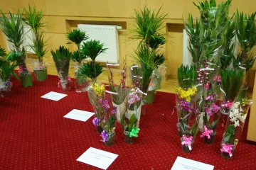 Munkájuk gyümölcseként szépül a város