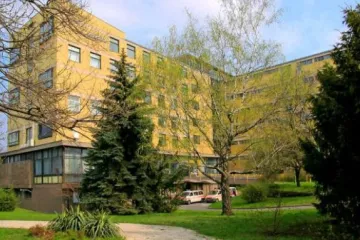 Hírkép: Művészek a Szent Pantaleon Kórházért 