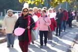 Hírkép: Séta a mellrák ellen