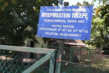 Hírkép: Egy kutyát sem altattak el