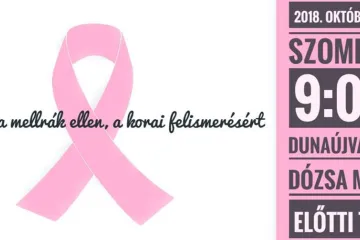 Hírkép: Séta a mellrák ellen, a korai felismerésért