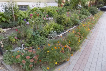 Hírkép: Lehet nevezni a „Virágos Dunaújvárosért 2020” versenyre