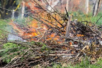 Hírkép: Tilos a városban a zöldhulladék égetése