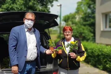 Hírkép: A virágos Dunaújvárosért