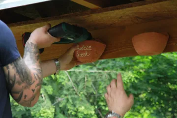 Hírkép: Fecske családok költözhetnek a Baracsi úti arborétumba is