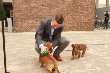 Hírkép: Könnyebben hazatalálhatnak az elveszett kedvencek