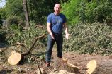 Hírkép: Több, 70 évesnél is idősebb fát vágtak ki illegálisan