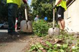 Hírkép: Tisztulnak a város parkolói, legutóbb az Intercisa Múzeum mögötti terület következett