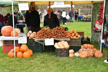 Hírkép: Termelői piacnak ad otthont a Szalki-szigeti kemping