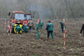 Hírkép: 20 ezer facsemetét ültetnek a Schalbert-szigetre
