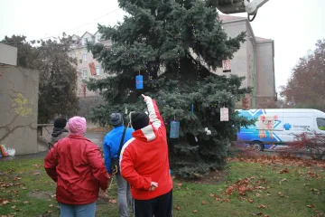 Hírkép: Feldíszítették a Technikum karácsonyfáját