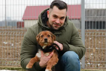 Hírkép: Polgármesteri látogatás az Ebrendészeti Telepen