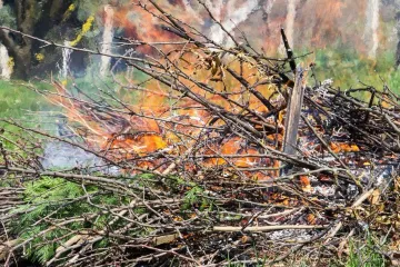 Hírkép: A szabályok betartása mellett ismét lehet avart és kerti hulladékot égetni