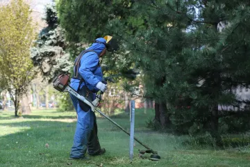Hírkép: Városszerte folyamatosak a tavaszi munkálatok