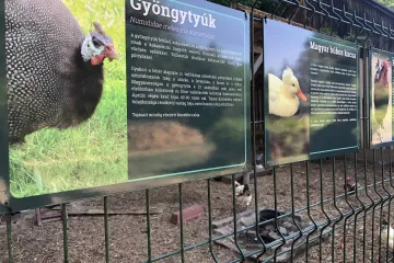 Hírkép: Újakra cserélték a megkopott arborétum - táblákat