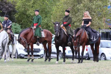 Hírkép: Szerda délelőtt értek Dunaújvárosba a lovas zarándokok