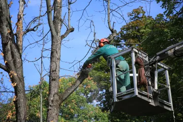 Hírkép: Nem csak az évszak, a feladat is változik
