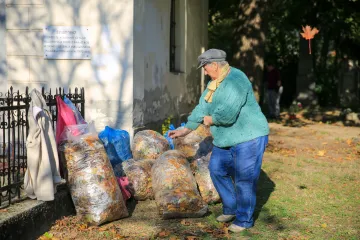 Hírkép: Önkéntes akció részeként szépült a kistemető