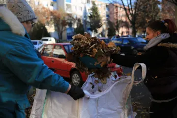 Hírkép: Közösségi falevélszedést szervezett az önkormányzat és a körzetek képviselői