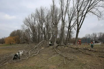 Hírkép: A nyári kánikulában már a lombok árnyékában hűsölhetünk 