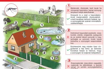 Hírkép: Mi is tehetünk a szúnyogok szaporodása ellen