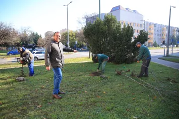Hírkép: Mezei Zsolt: A lakókkal közösen ötleteltük ki a fejlesztés irányait