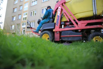 Hírkép: Sok az eső, nagy a fű, és jönnek a szúnyogok