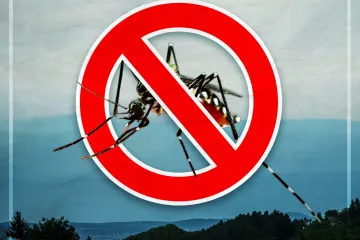 Hírkép: Tájékoztató szúnyoggyérítésről