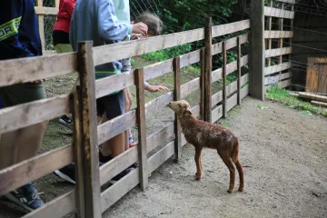 Hírkép: Folyamatosan fejlődik a Kádárvölgyi ékszerdoboz