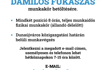 Hírkép: Álláshirdetés - Dunaújvárosi Gazdasági Ellátó Szervezet