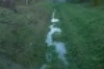 Hírkép