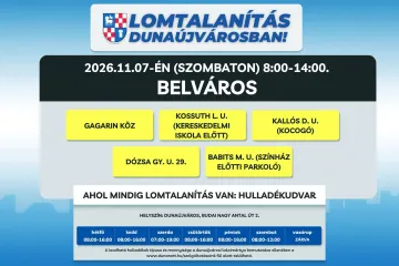 lomtalanítás