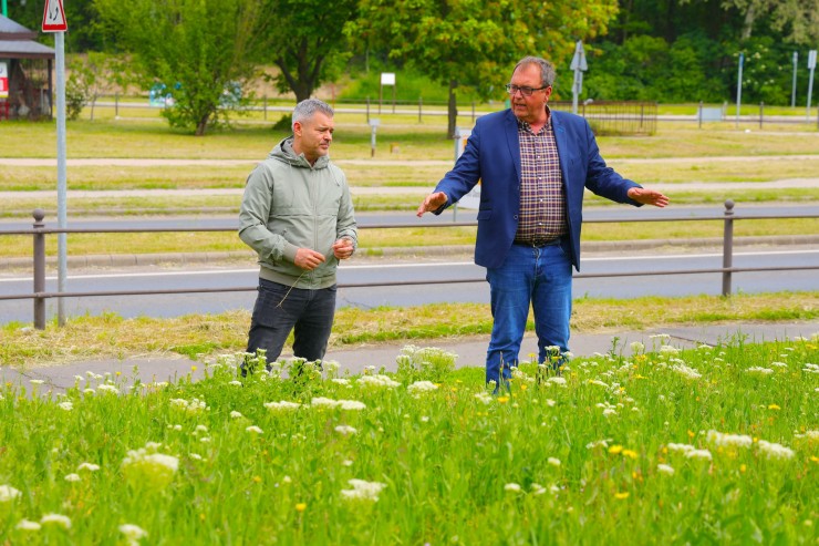 Vadvirágos rétek, szigetek a még zöldebb városért