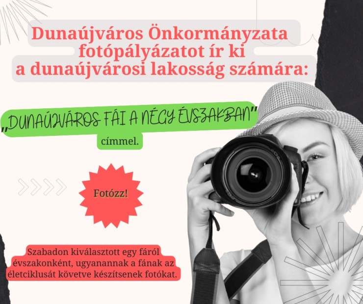 Pályázat