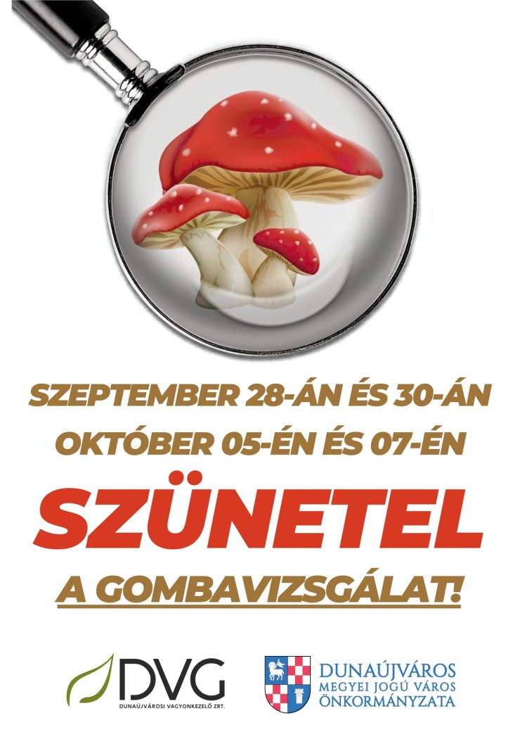 Szabadság miatt