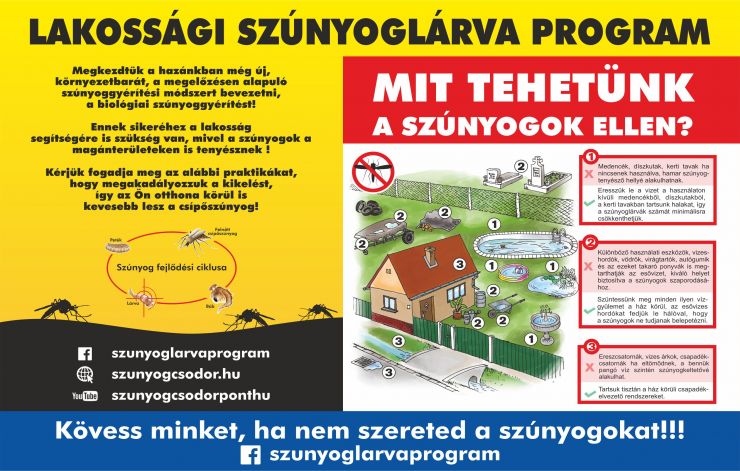 Elkezdődött a szúnyoggyérítés - mi is tehetünk a vérszívók szaporodása ellen 