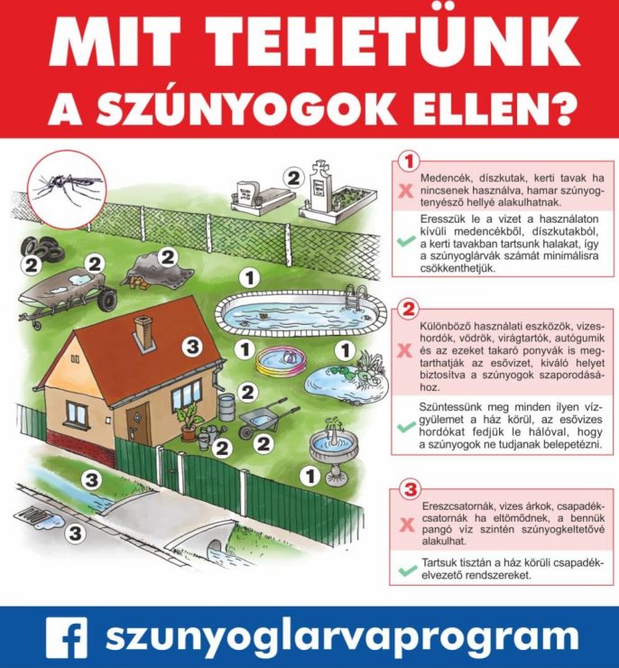 Elkezdődött a szúnyoggyérítés - mi is tehetünk a vérszívók szaporodása ellen